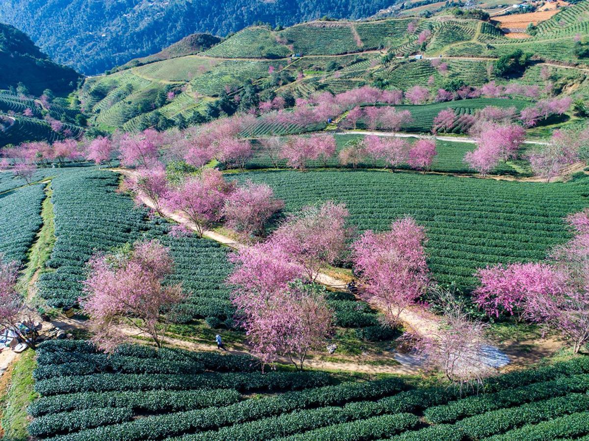 Sapa King Hotel Hung Vuong Hotel 외부 사진